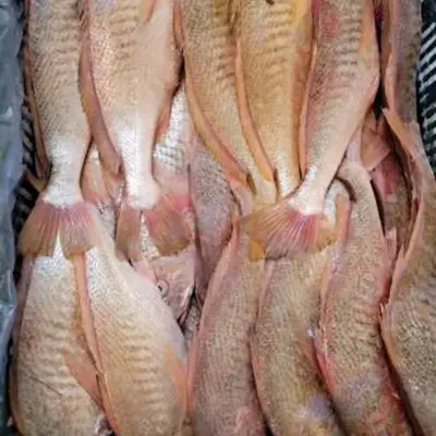 프리미엄 냉동 노랑 민어 전체 라운드 낙하산 가치를 변경하는 숨겨진 변수는 무엇입니까?