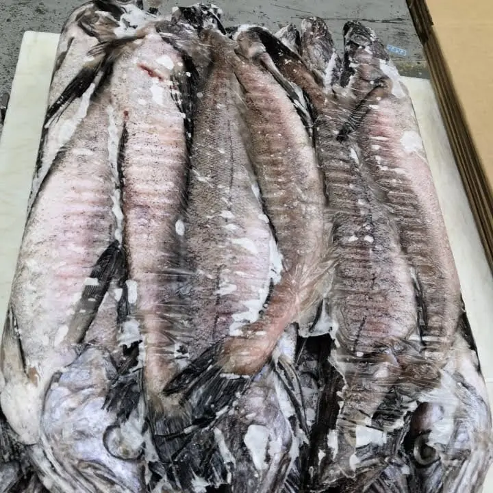 냉동 대구 전체 라운드